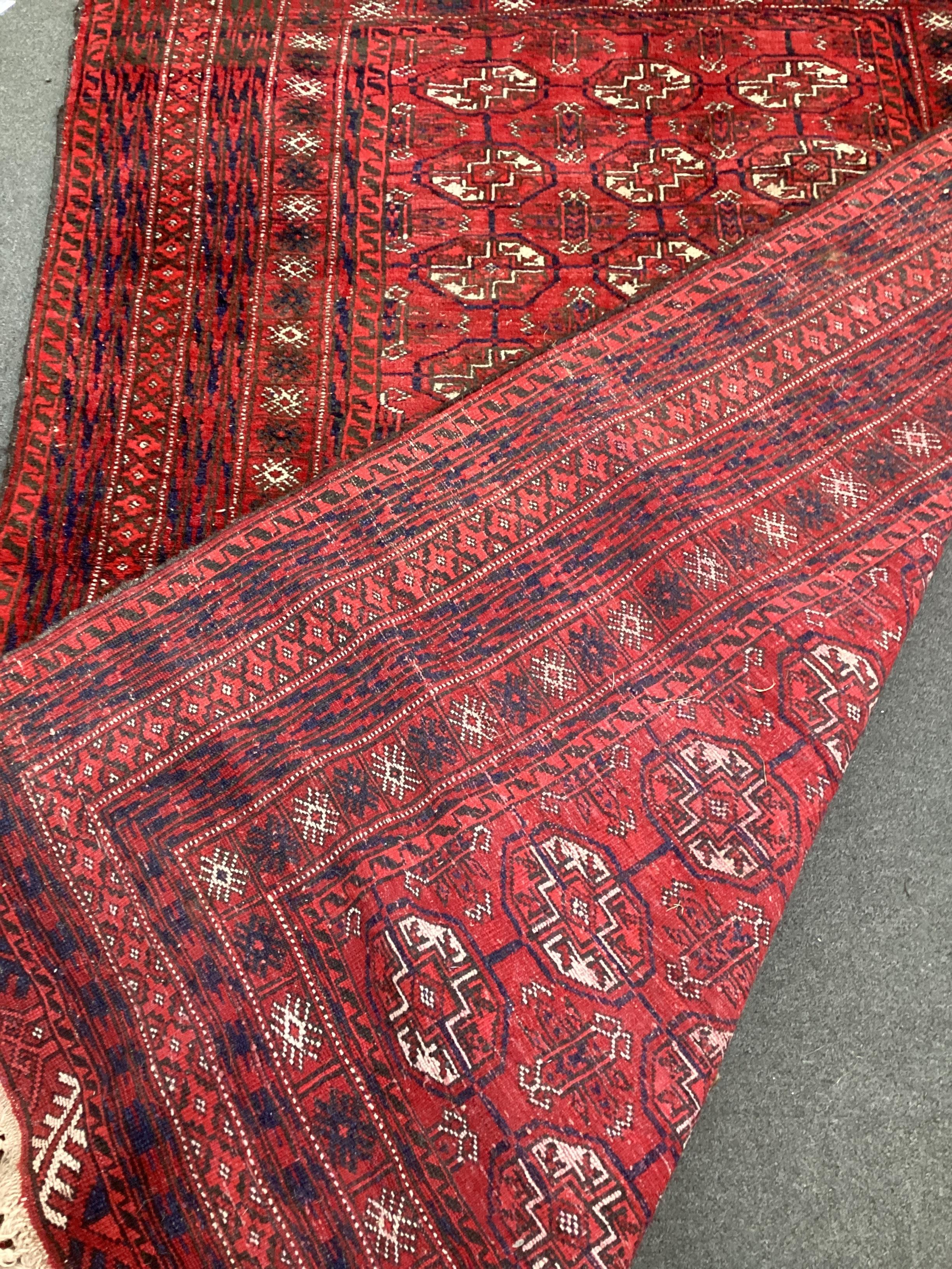 A Bokhara red ground rug, 210cm x 146cm